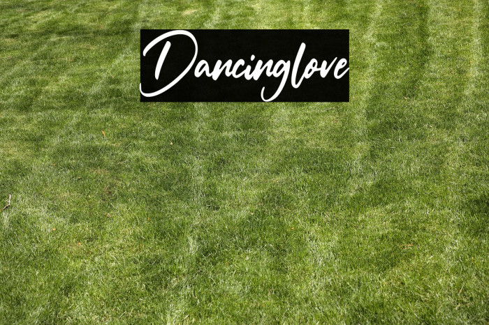 Dancinglove Example 2