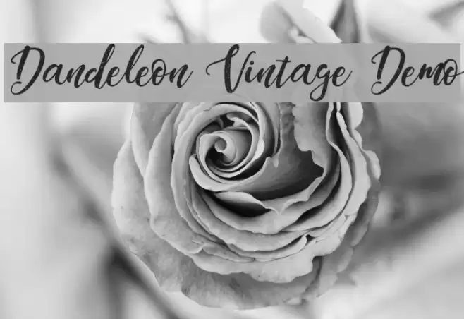 Dandeleon Vintage Demo Fuentes examples