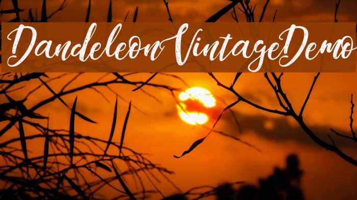 DandeleonVintageDemo Font examples
