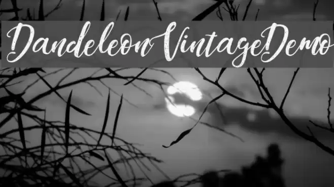 DandeleonVintageDemo Fuentes examples