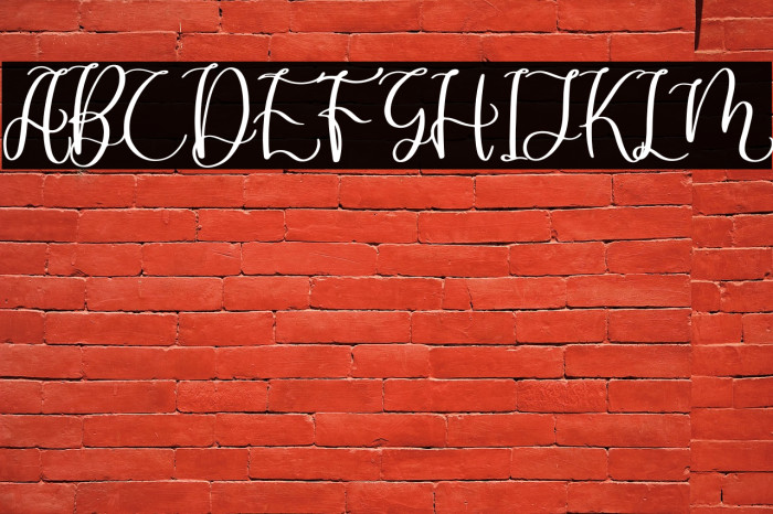 Dandelion Pelangi Example 2