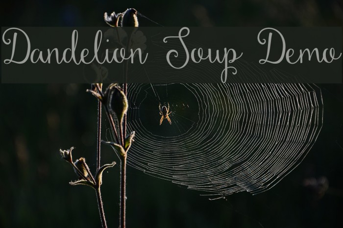 Dandelion Soup Demo Font examples