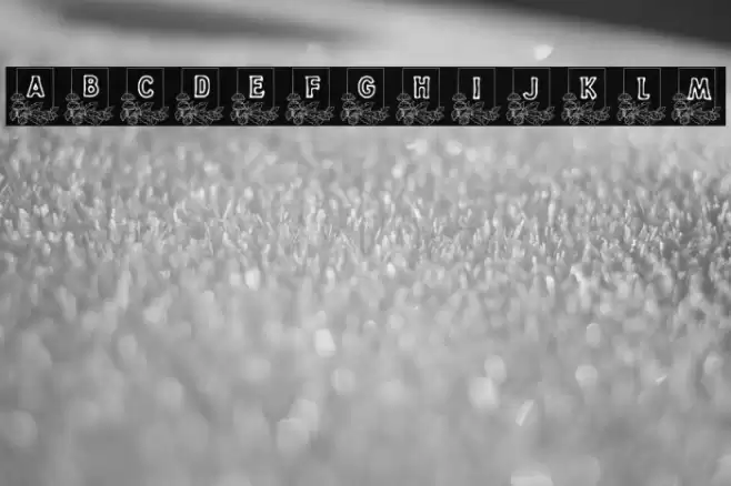 Dandelion Font examples