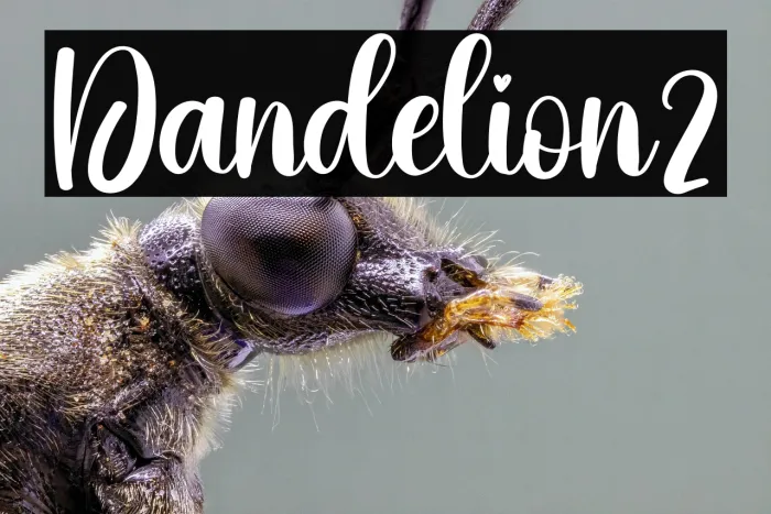 Dandelion2 Example 2