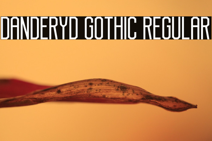 Danderyd Gothic Regular Example 1