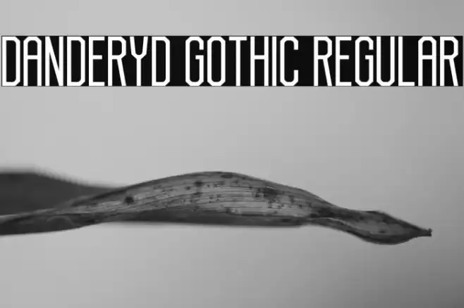 Danderyd Gothic Regular Font examples