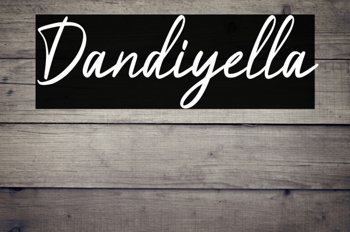Dandiyella Example 2