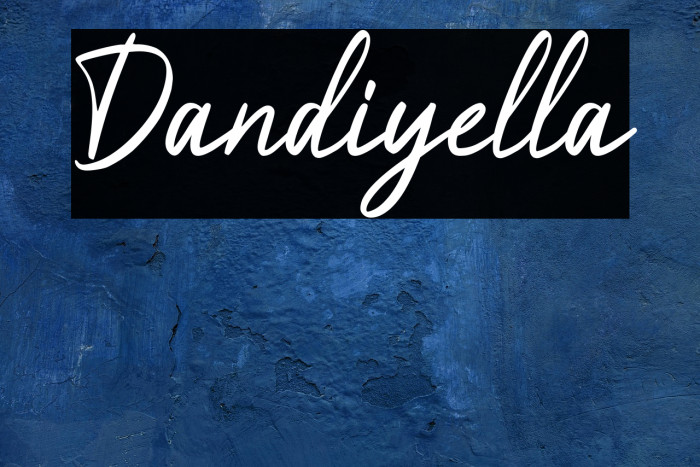 Dandiyella Example 3