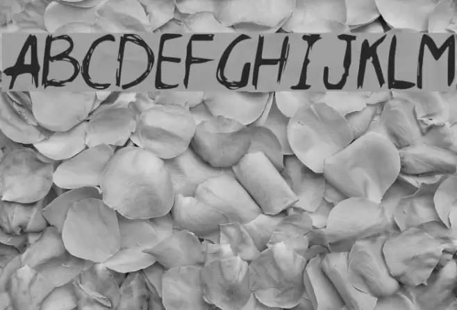 Daneehand Demo Font examples