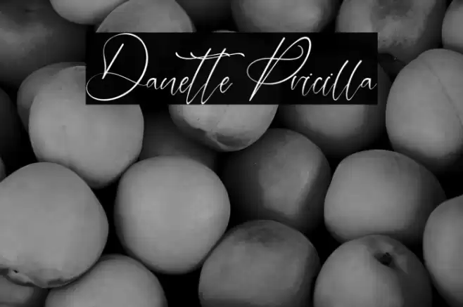 Danette Pricilla Font examples