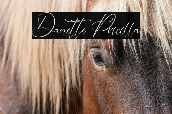 Danette Pricilla Example 2