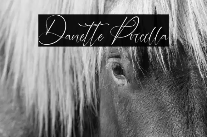 Danette Pricilla Font examples