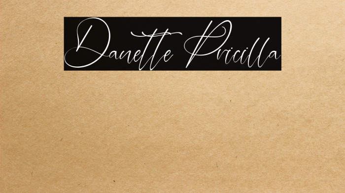Danette Pricilla Example 3