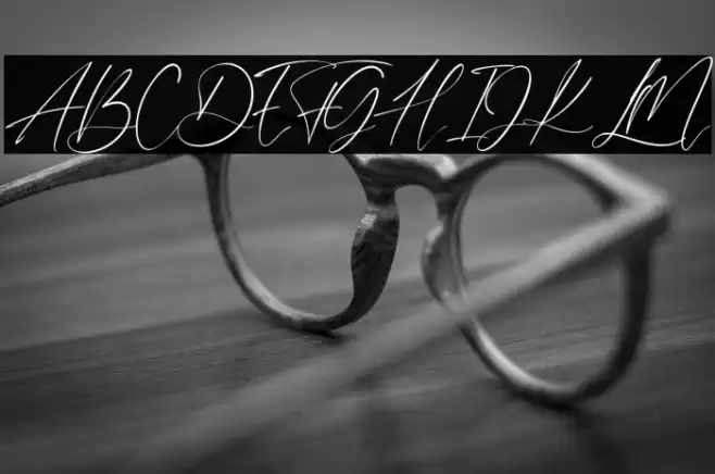 DanettePricilla Font examples