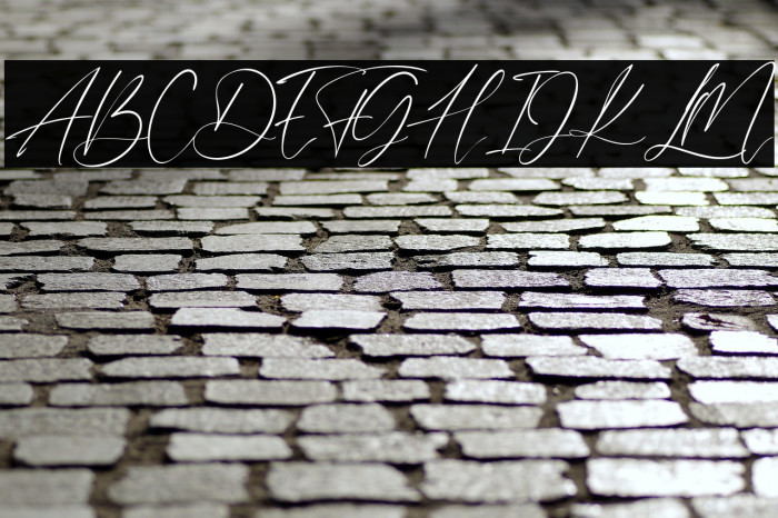 DanettePricilla Example 3