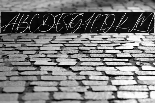 DanettePricilla Font examples