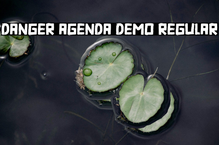Danger Agenda DEMO Regular Example 2