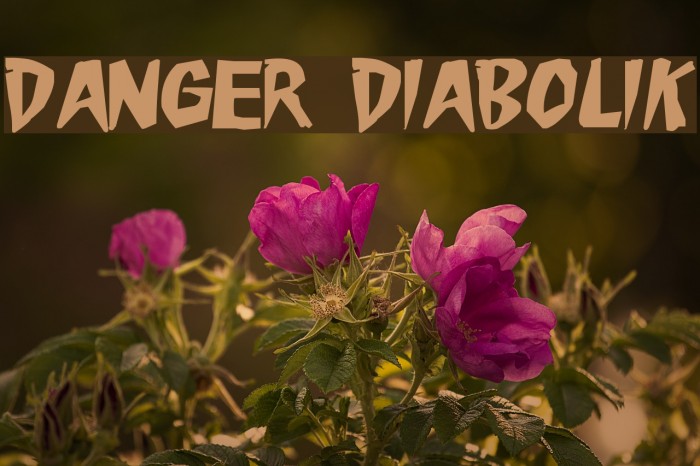 Danger Diabolik Example 1