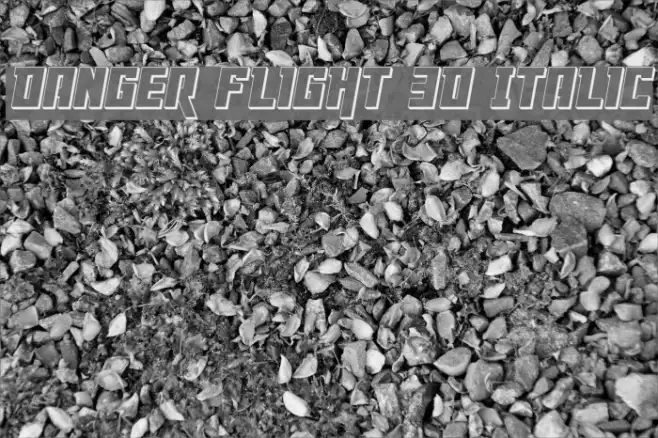 Danger Flight 3D Italic Example 1
