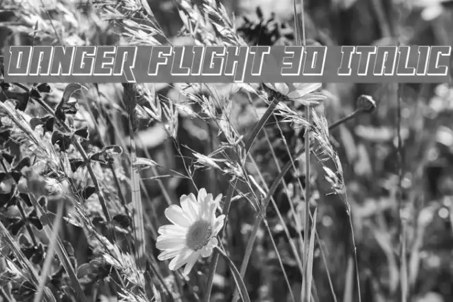Danger Flight 3D Italic Example 3