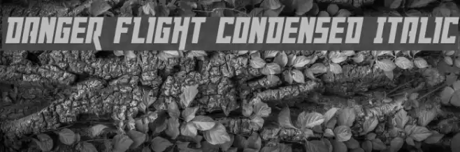 Danger Flight Condensed Italic Font examples