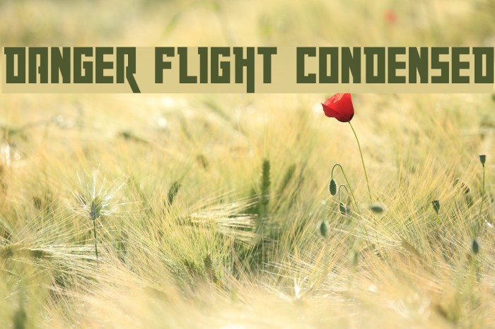 Danger Flight Condensed Font examples