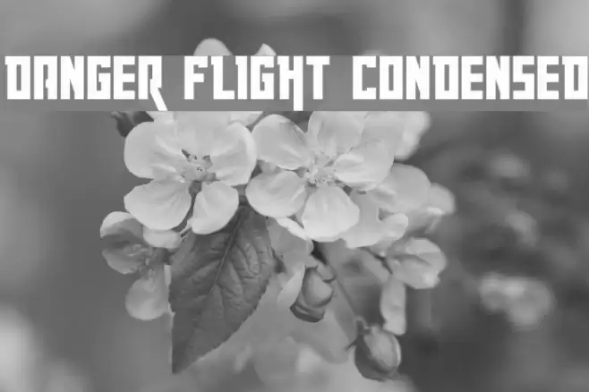 Danger Flight Condensed Font examples