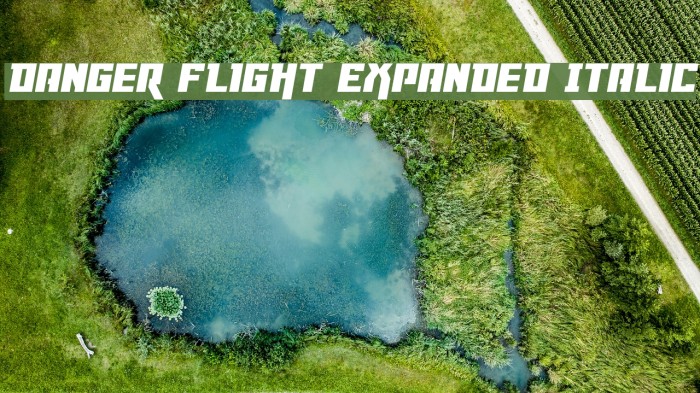 Danger Flight Expanded Italic Font examples