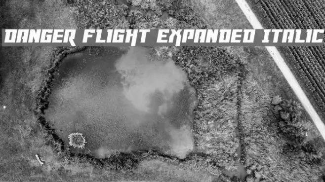 Danger Flight Expanded Italic Example 2