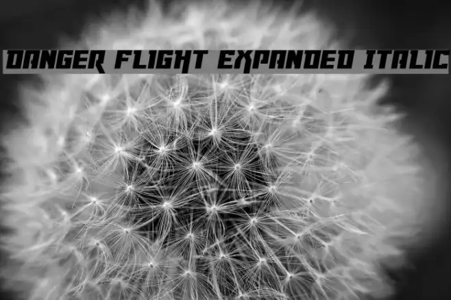 Danger Flight Expanded Italic Example 3
