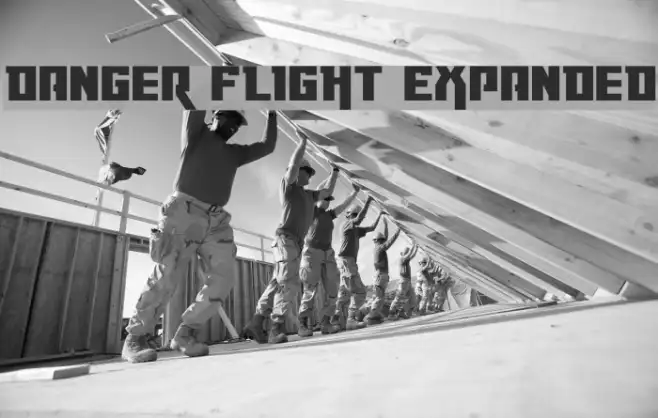 Danger Flight Expanded Example 2