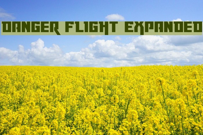 Danger Flight Expanded Font examples