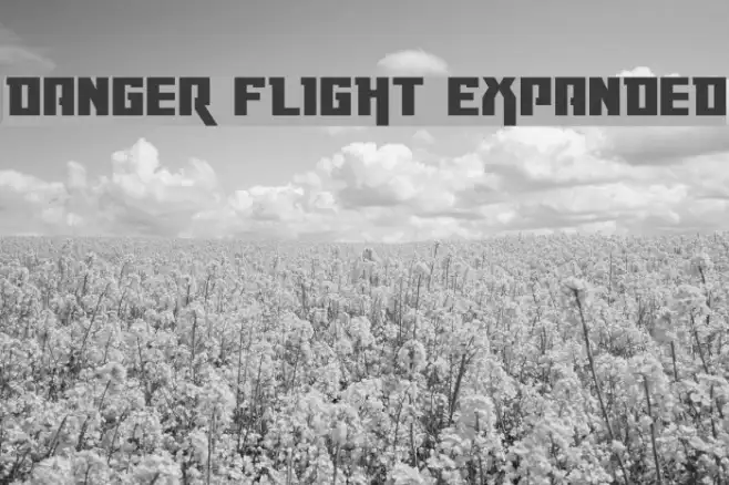 Danger Flight Expanded Example 3