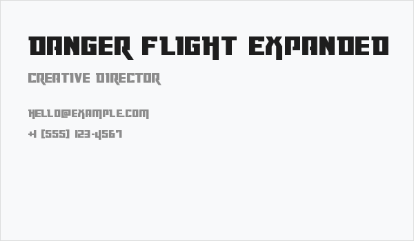 Danger Flight Expanded Business Card