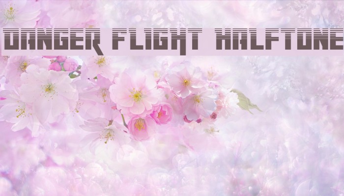 Danger Flight Halftone Example 1