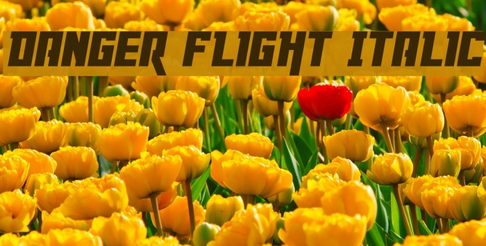 Danger Flight Italic Font examples