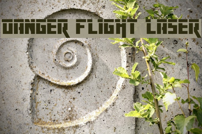 Danger Flight Laser Font examples