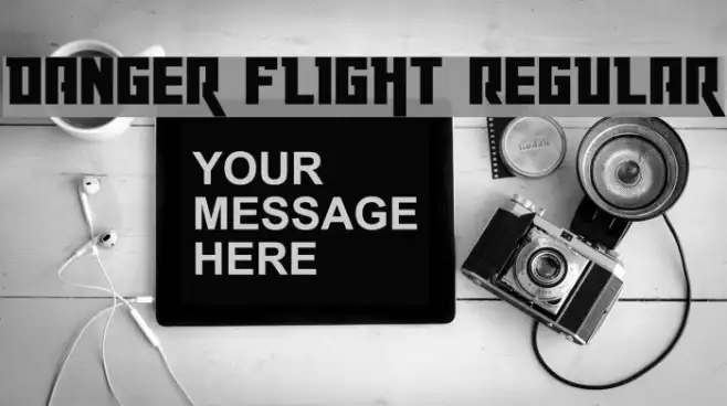Danger Flight Regular Example 3