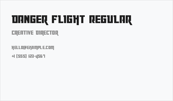 Danger Flight Regular Business Card