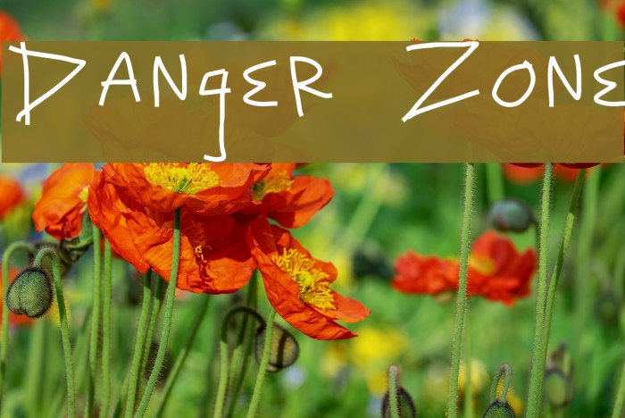 Danger Zone Font examples