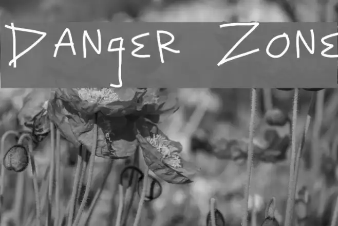 Danger Zone Example 3