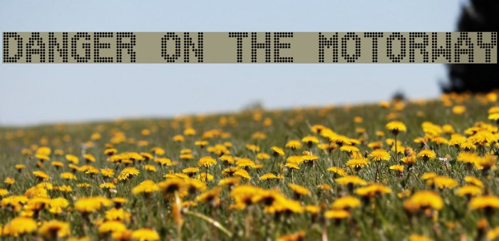 Danger on the Motorway Font examples