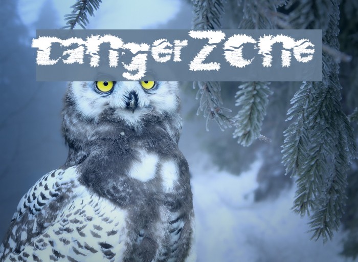 DangerZone Font examples