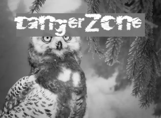 DangerZone Example 2