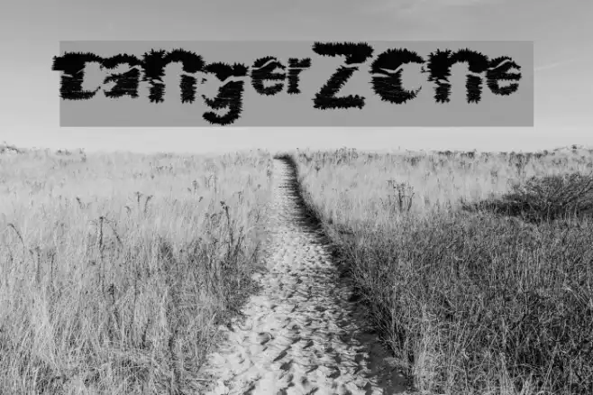 DangerZone Example 3
