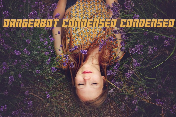Dangerbot Condensed Condensed Font examples