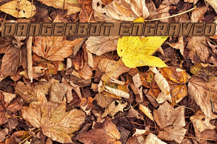 Dangerbot Engraved Font examples