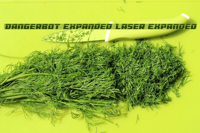 Dangerbot Expanded Laser Expanded Example 3
