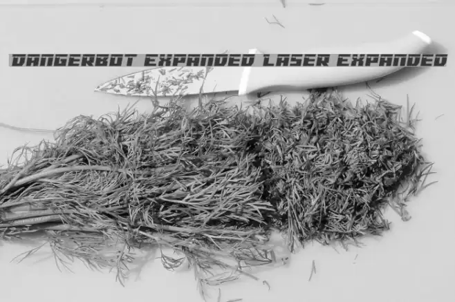 Dangerbot Expanded Laser Expanded Font examples