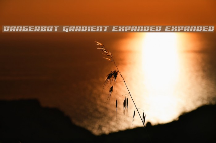 Dangerbot Gradient Expanded Expanded Font examples